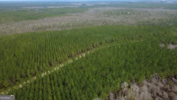 a view of a lush green space