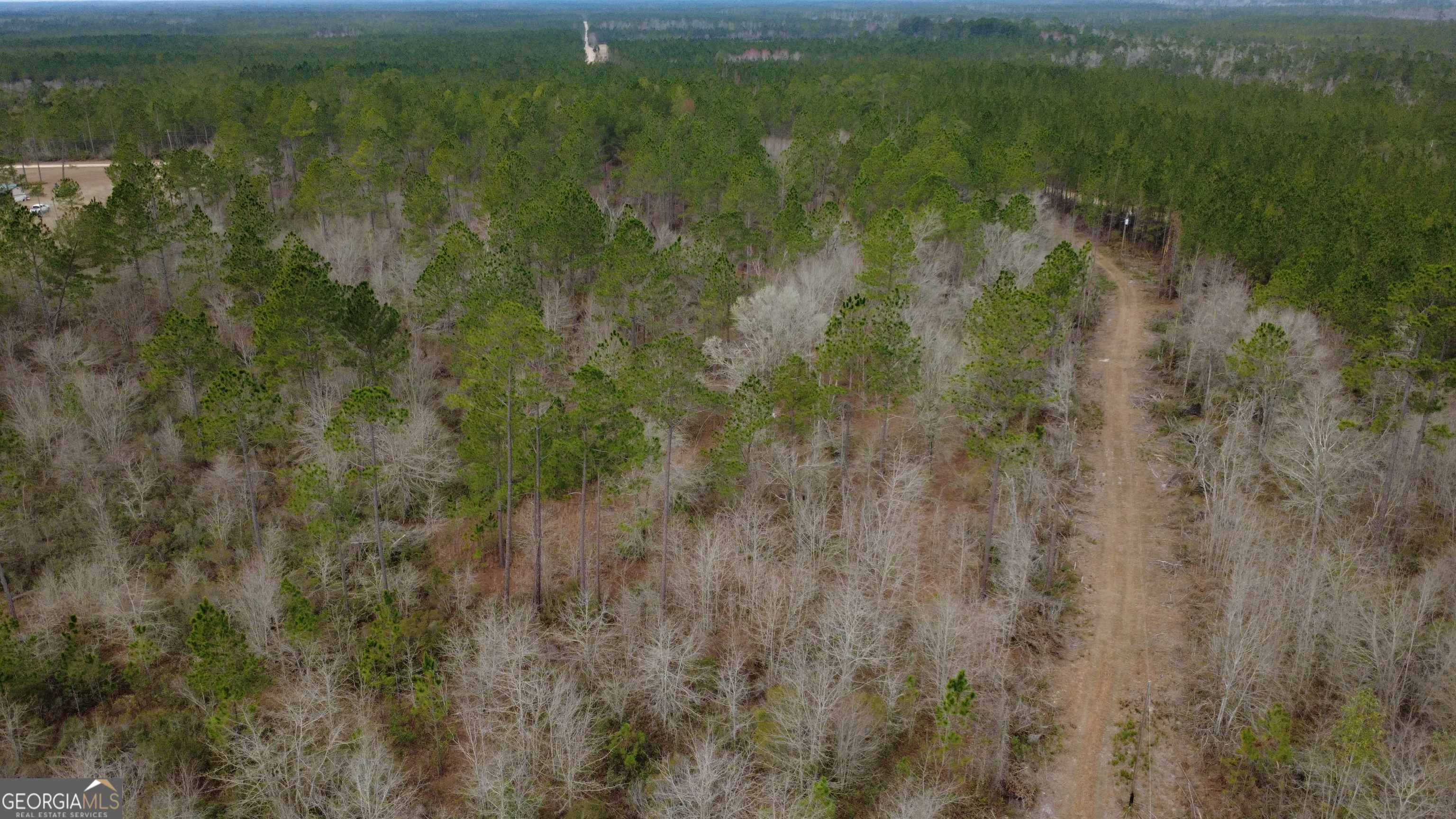 0 Whitaker Waycross, GA 31503 - Photo 6 of 9 a view of a forest with a houses