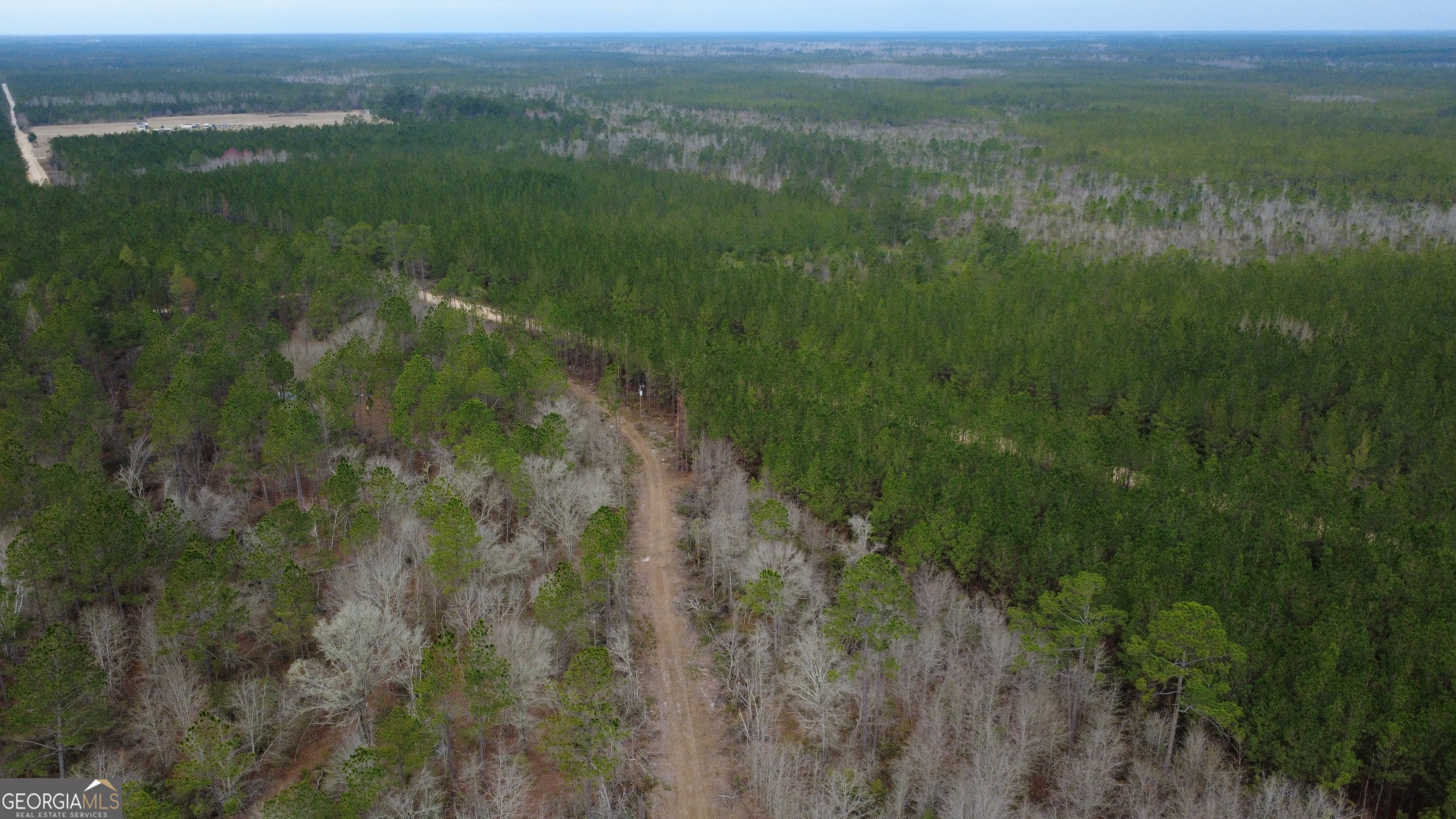 0 Whitaker Waycross, GA 31503 - Photo 7 of 9 a view of a lush green field