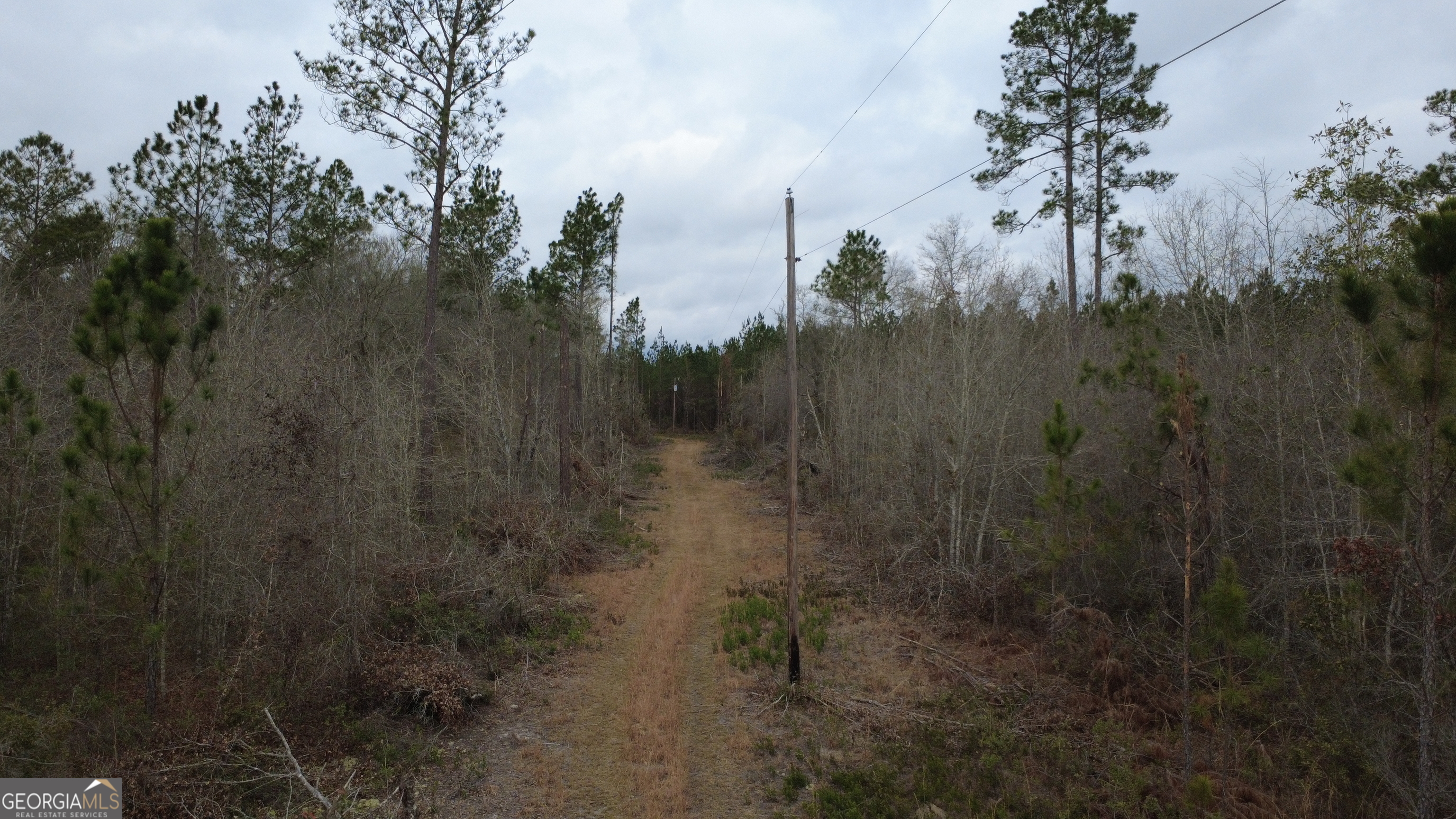 0 Whitaker Waycross, GA 31503 - Photo 8 of 9 a view of a lake