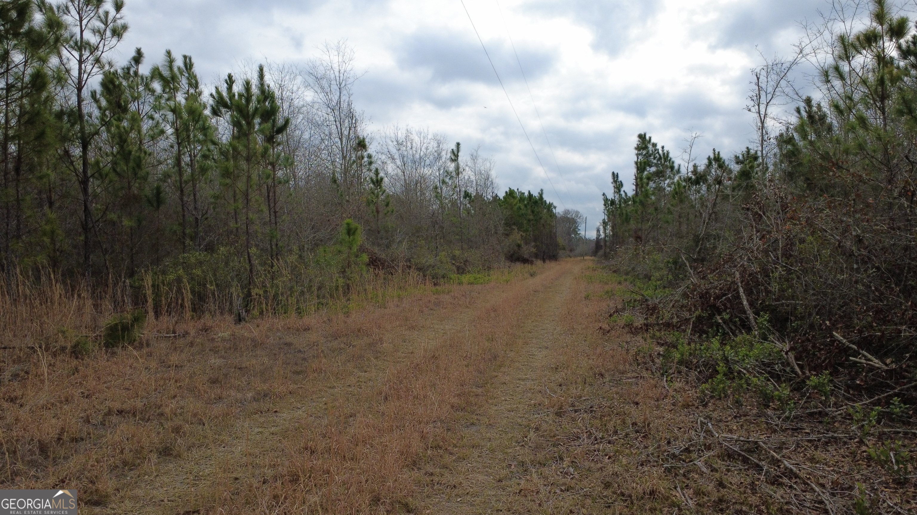 0 Whitaker Waycross, GA 31503 - Photo 9 of 9 a view of a dry yard with trees in the background