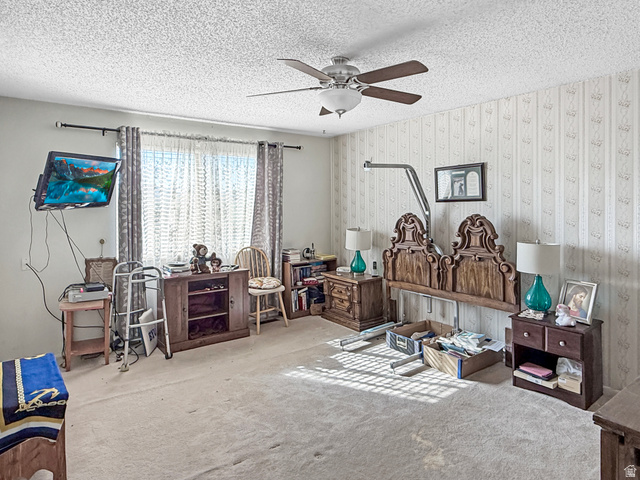 255 500 South Ferron, UT 84523 - Photo 19 of 33