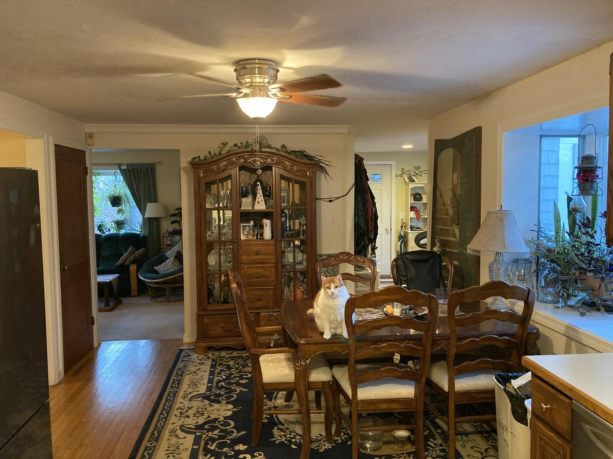 8 Hobbler Road Bourne, MA 02532 - Photo 6 of 21 EC4E5CDB-BB4E-477A-A35D-8868AD347712