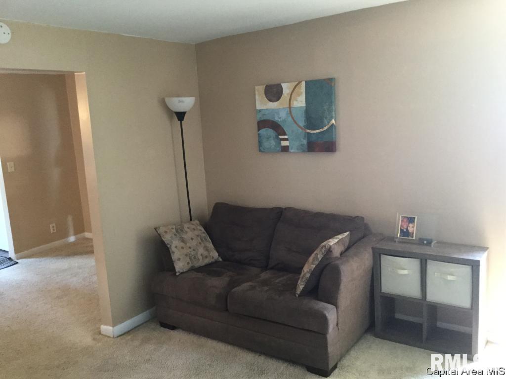 313 West Kimble Street Springfield, IL 62703 - Photo 3 of 16