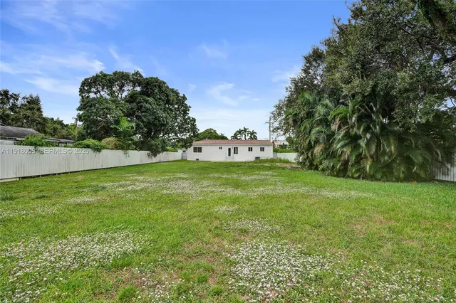 a view of a field with a tree