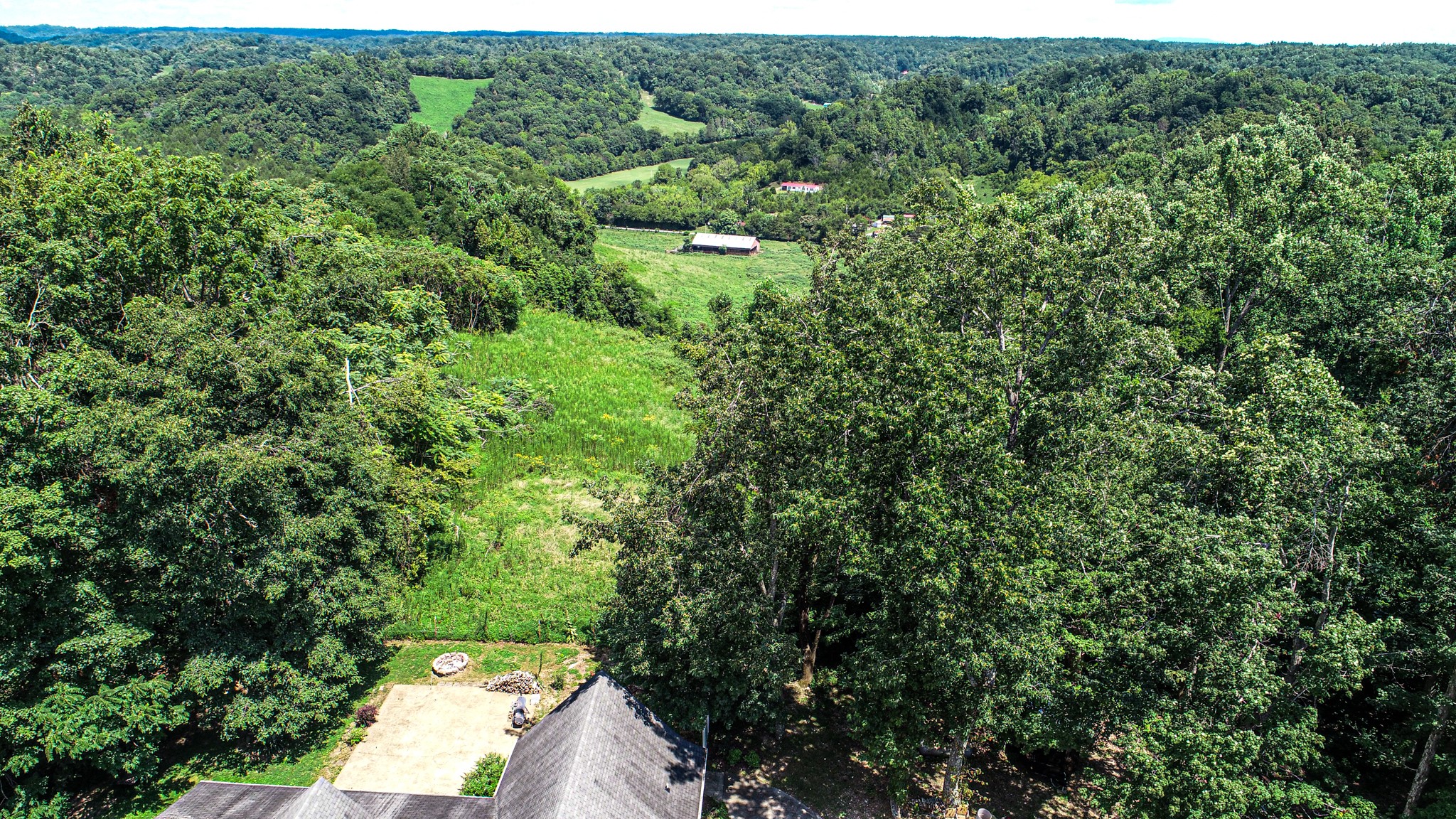 2963 Cole Ridge Road Beechgrove, TN 37018 - Photo 30 of 31 a view of a forest with a street