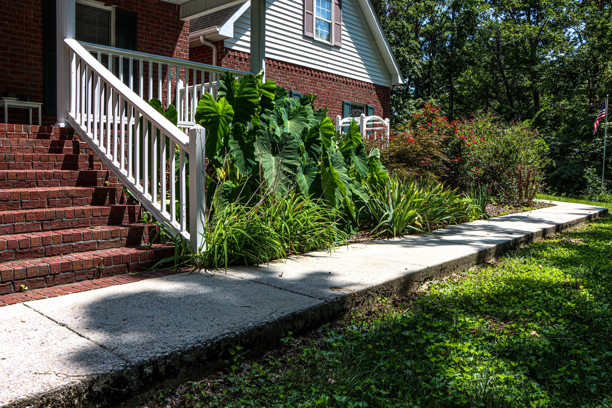 2963 Cole Ridge Road Beechgrove, TN 37018 - Photo 4 of 31 a view of a backyard with pathway