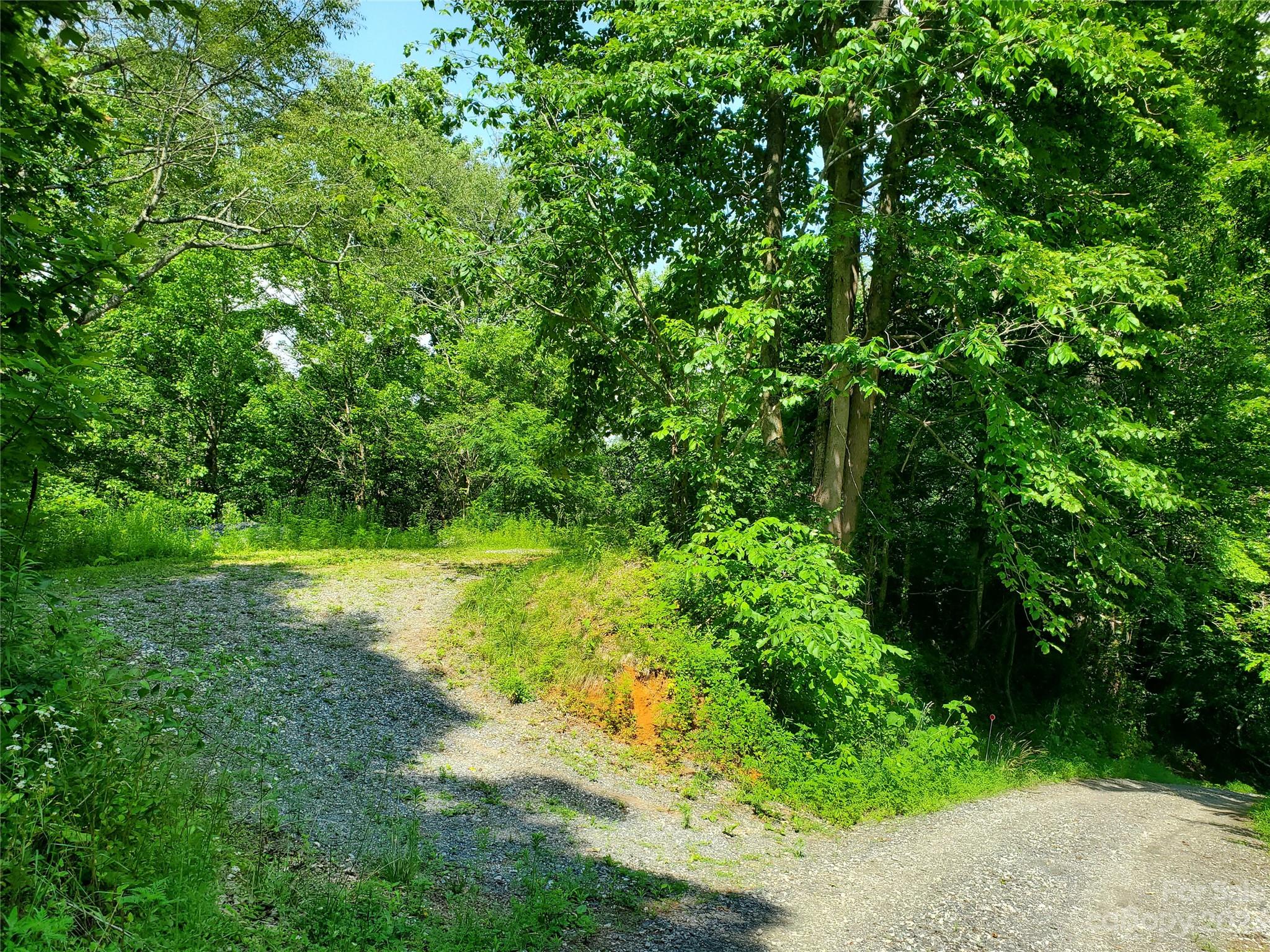 999 Buck Scrape Road Marshall, NC 28753 - Photo 22 of 28 a view of yard with green space