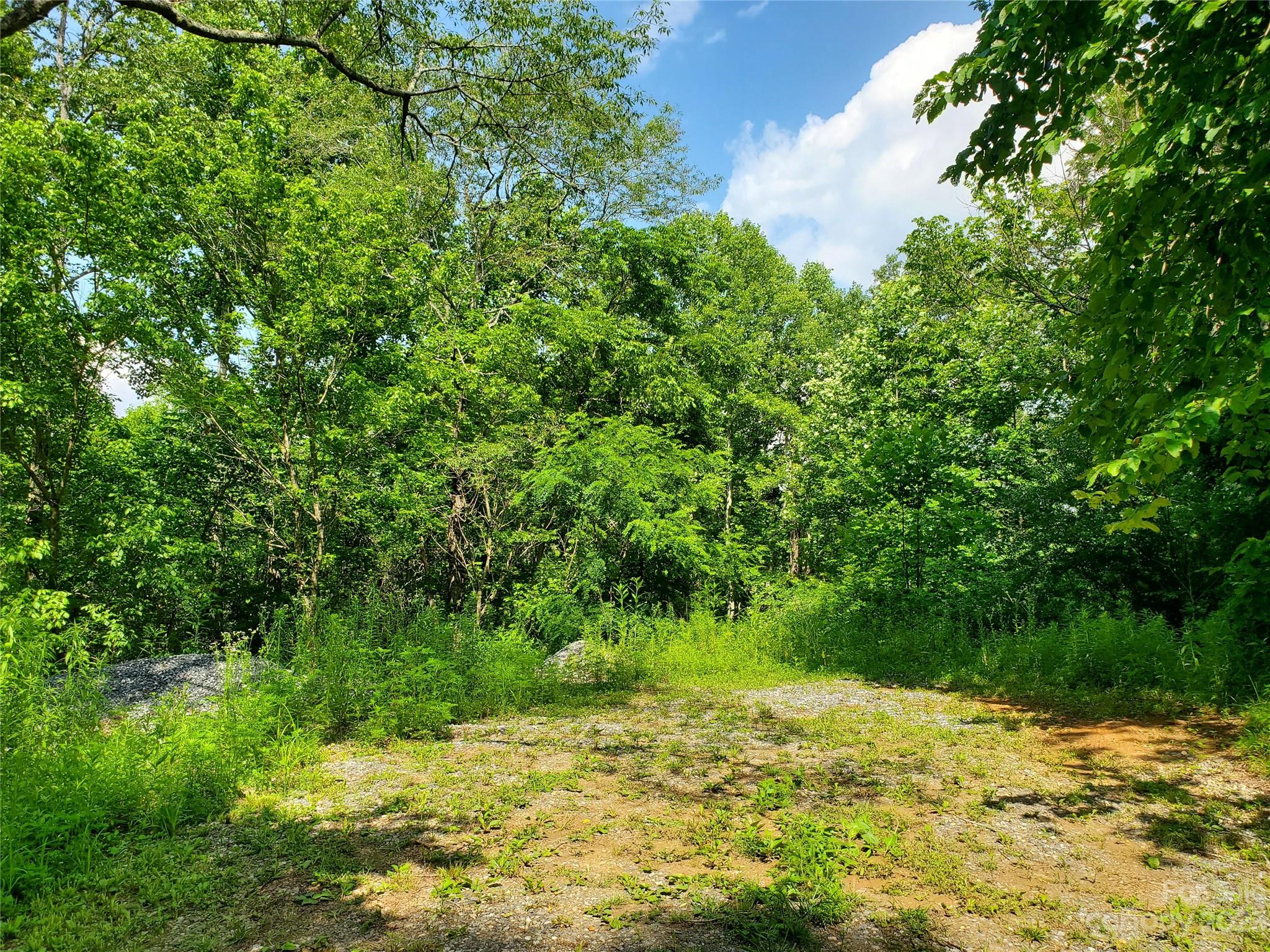 999 Buck Scrape Road Marshall, NC 28753 - Photo 25 of 28 a view of a yard with plants and large trees