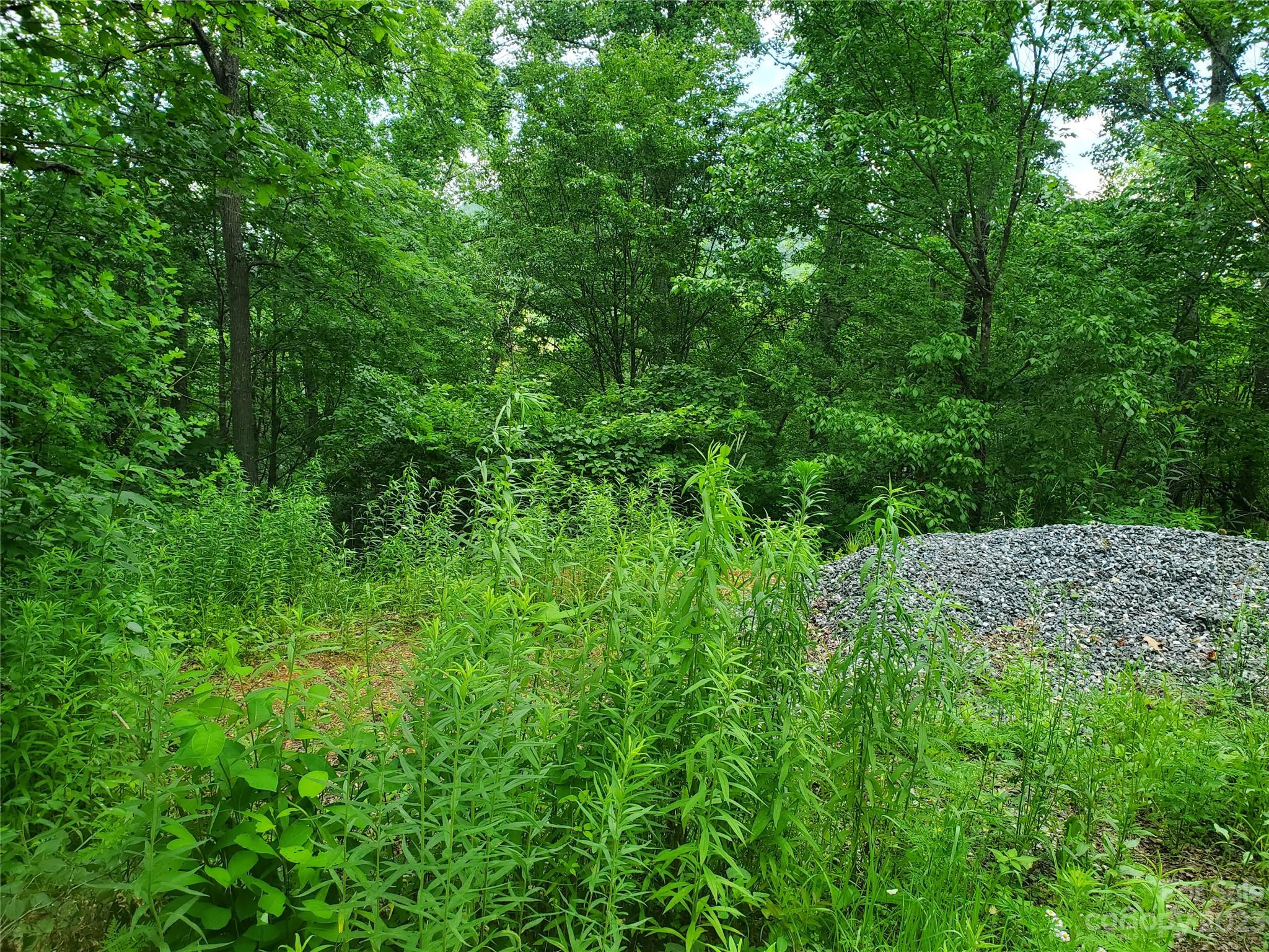 999 Buck Scrape Road Marshall, NC 28753 - Photo 27 of 28 a view of a lush green forest