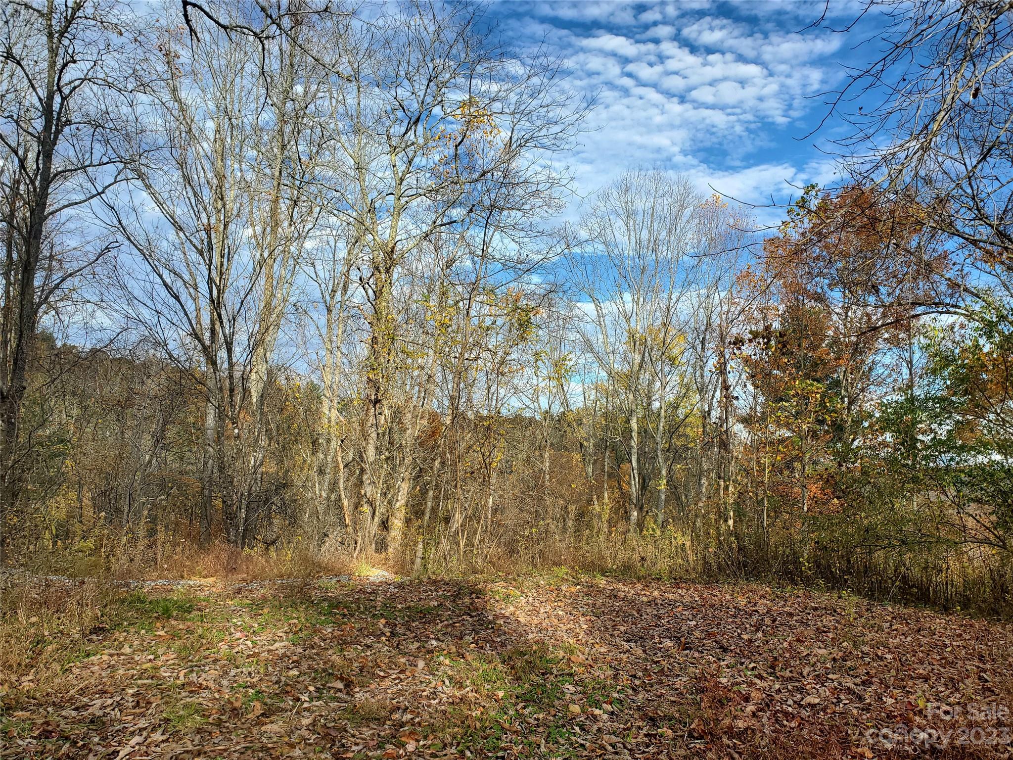 999 Buck Scrape Road Marshall, NC 28753 - Photo 5 of 28 a backyard of a house