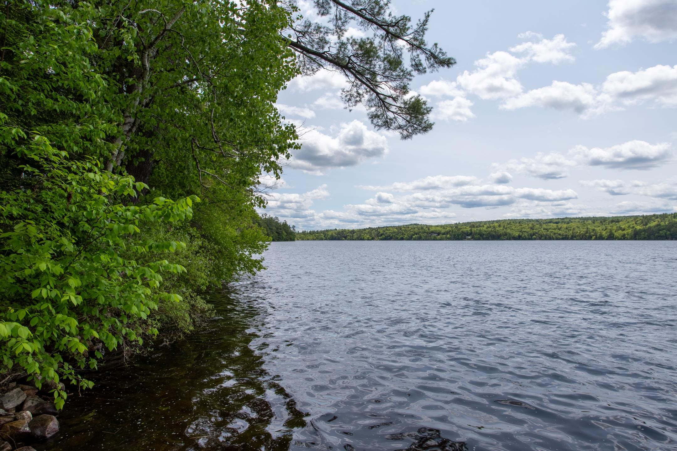 376 White Oak Road Barnstead, NH 03225 - Photo 24 of 26