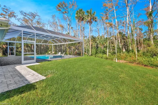 a view of a big yard with plants and large trees