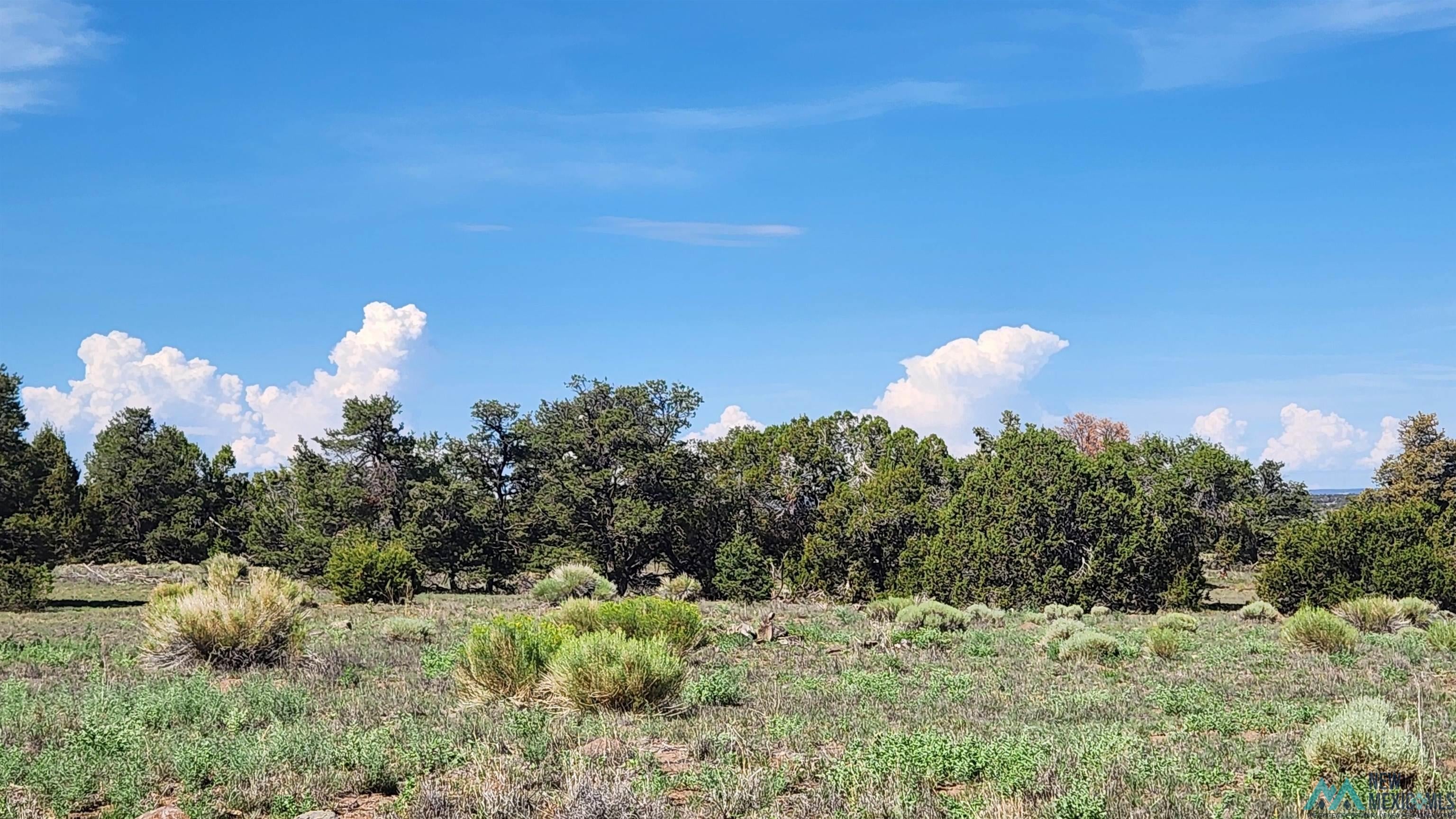Tbd Tbd Tonto Road Quemado, NM 87829 - Photo 3 of 9