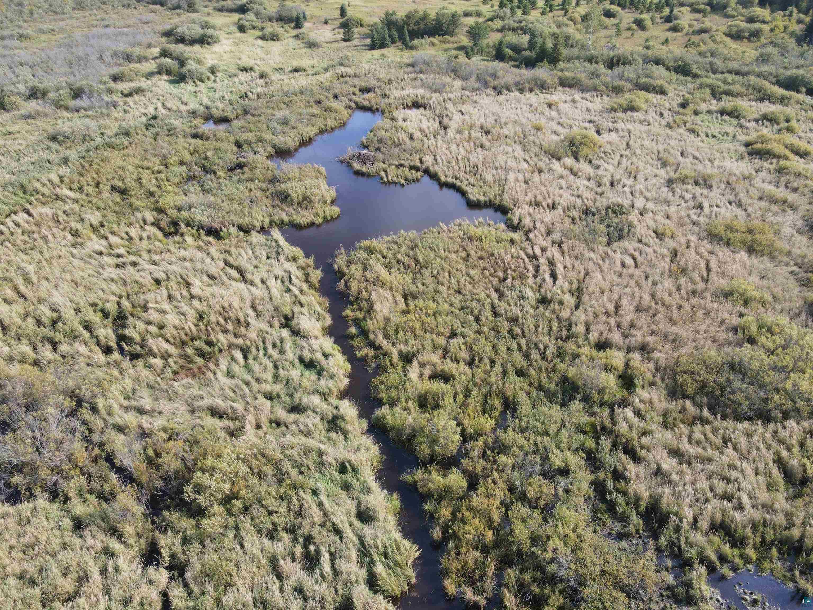 5525 Argos Road Cotton, MN 55724 - Photo 21 of 25 Birds eye view of property featuring a water view