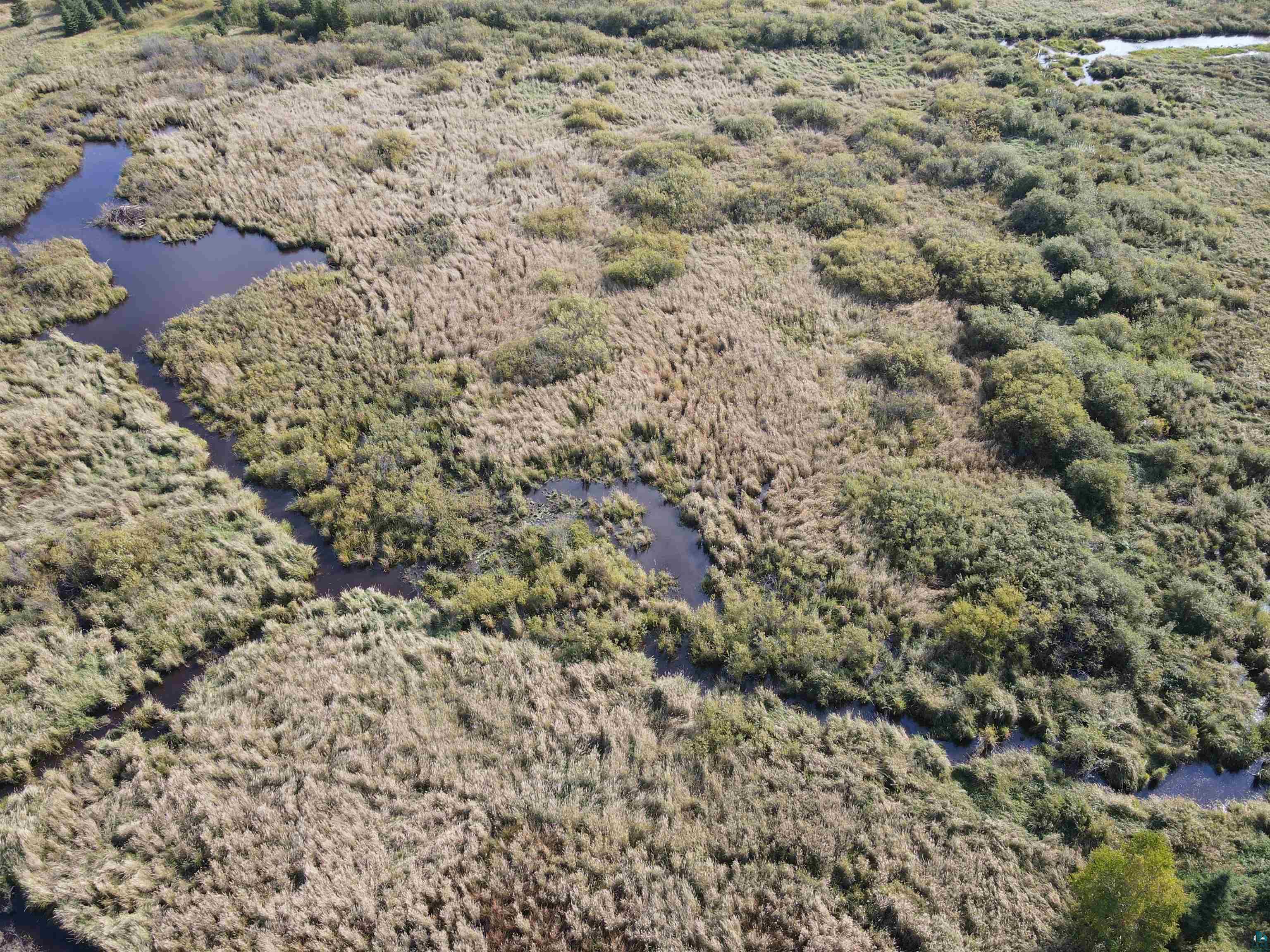 5525 Argos Road Cotton, MN 55724 - Photo 23 of 25 Bird's eye view featuring a water view