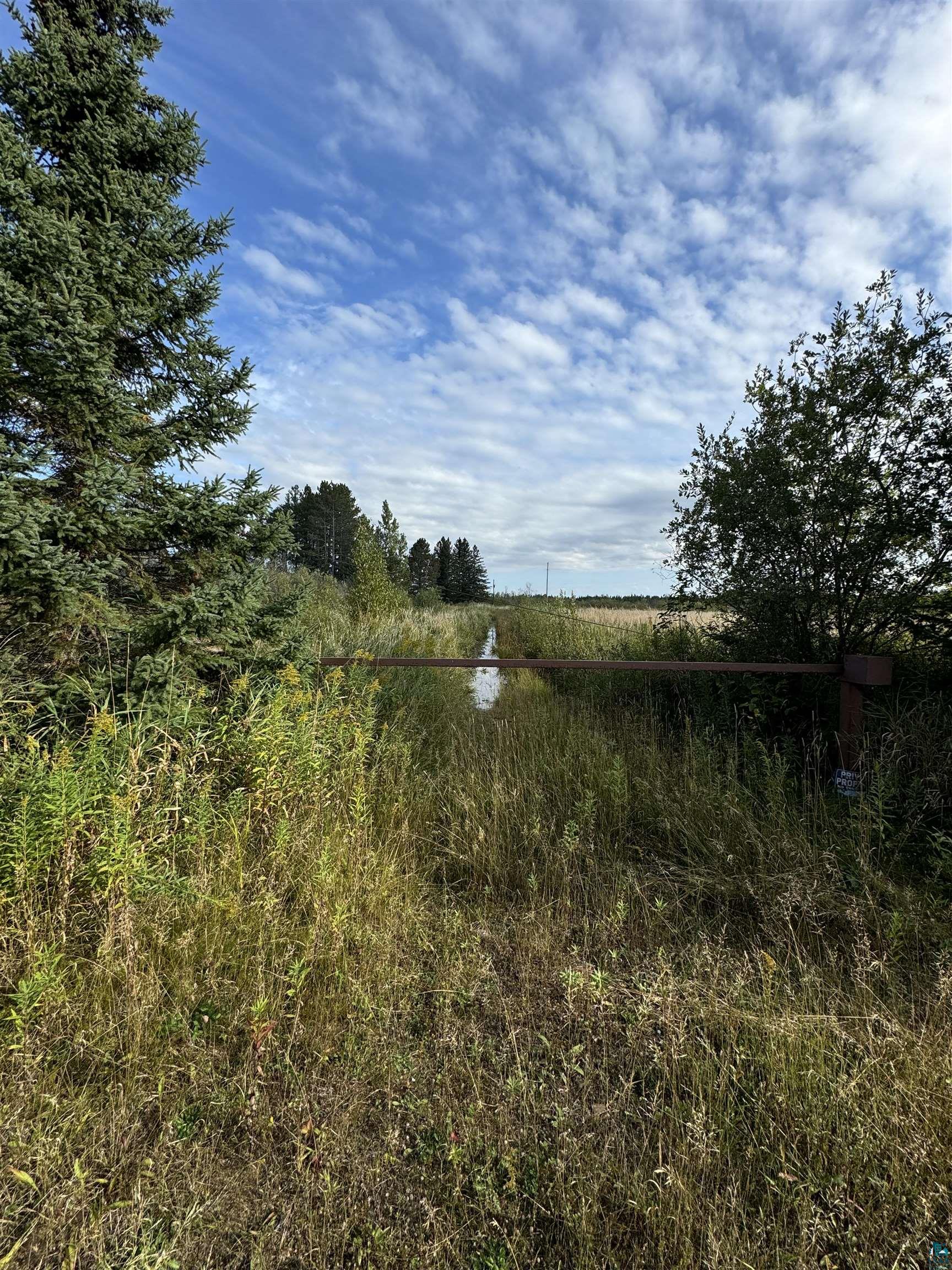 5525 Argos Road Cotton, MN 55724 - Photo 7 of 25 View of landscape featuring a rural view