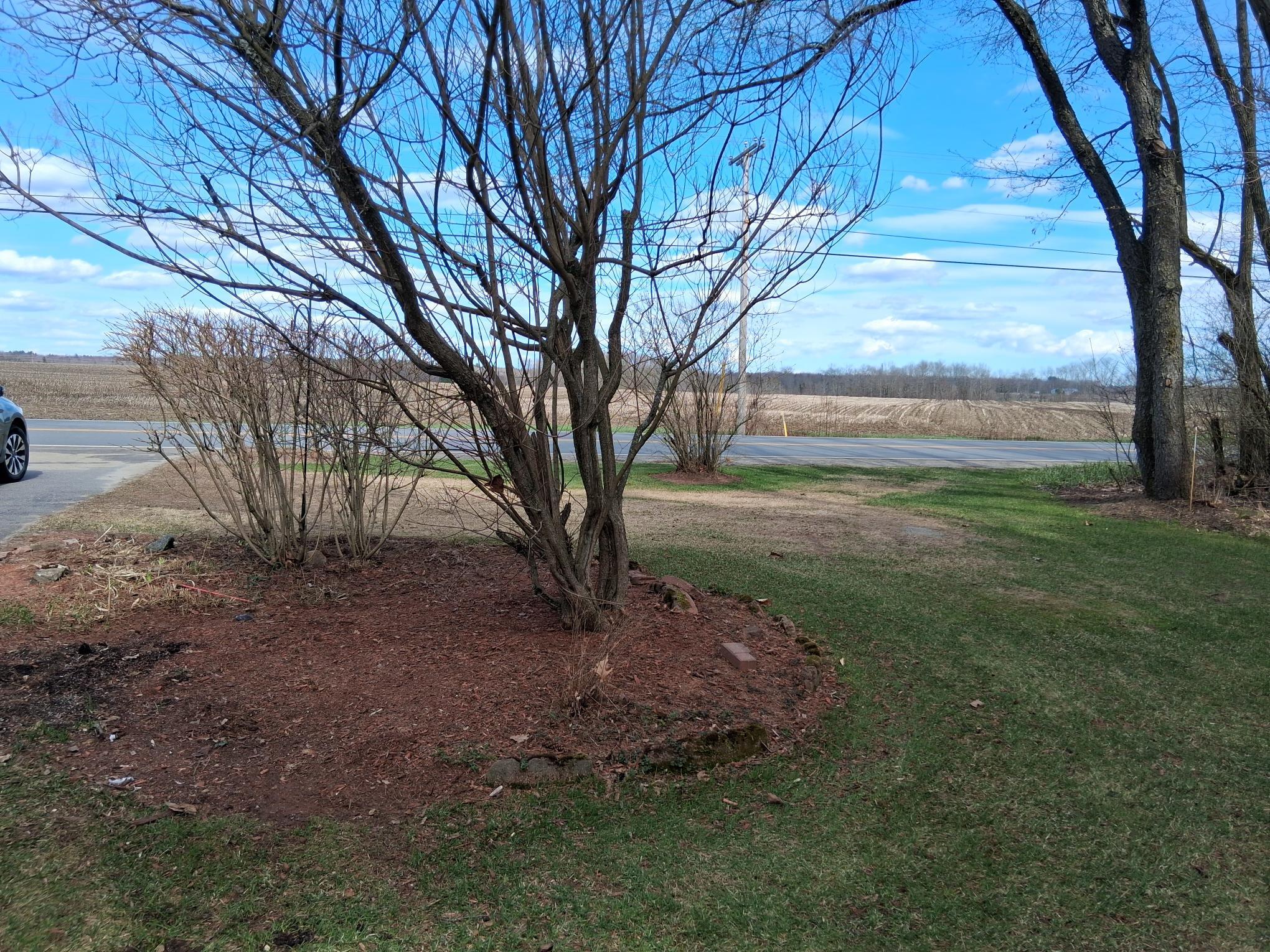 656 River Road Benton, ME 04901 - Photo 19 of 25 Yard