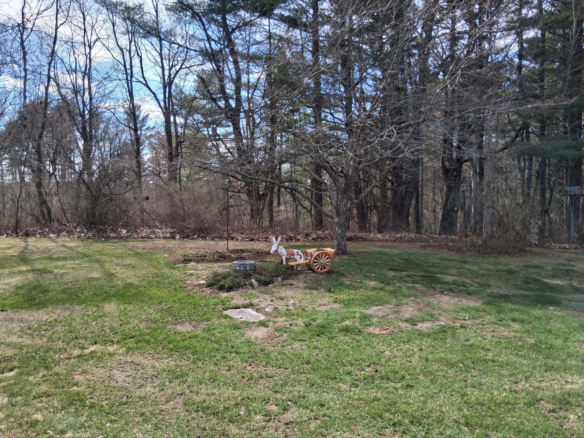 656 River Road Benton, ME 04901 - Photo 20 of 25 Yard
