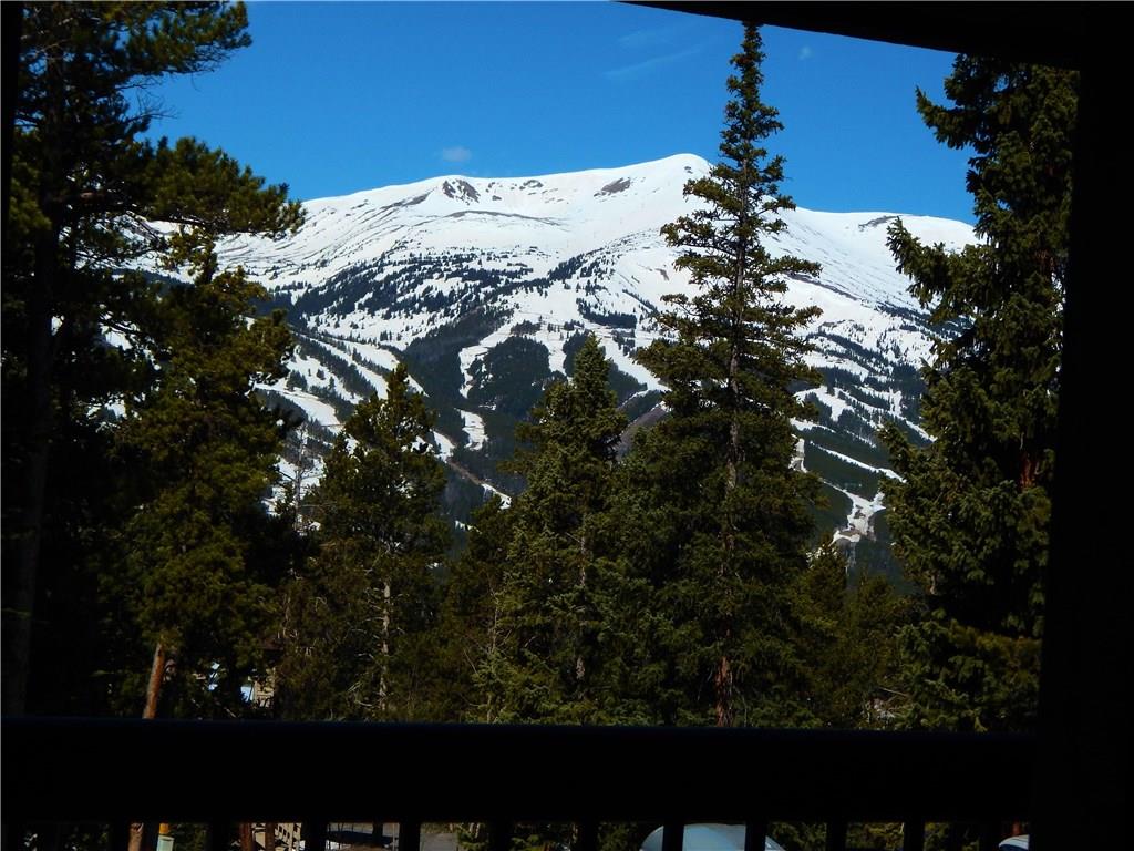 53 View Lane Road, Unit 4D Breckenridge, CO 80424 - Photo 2 of 23 a view of a tree