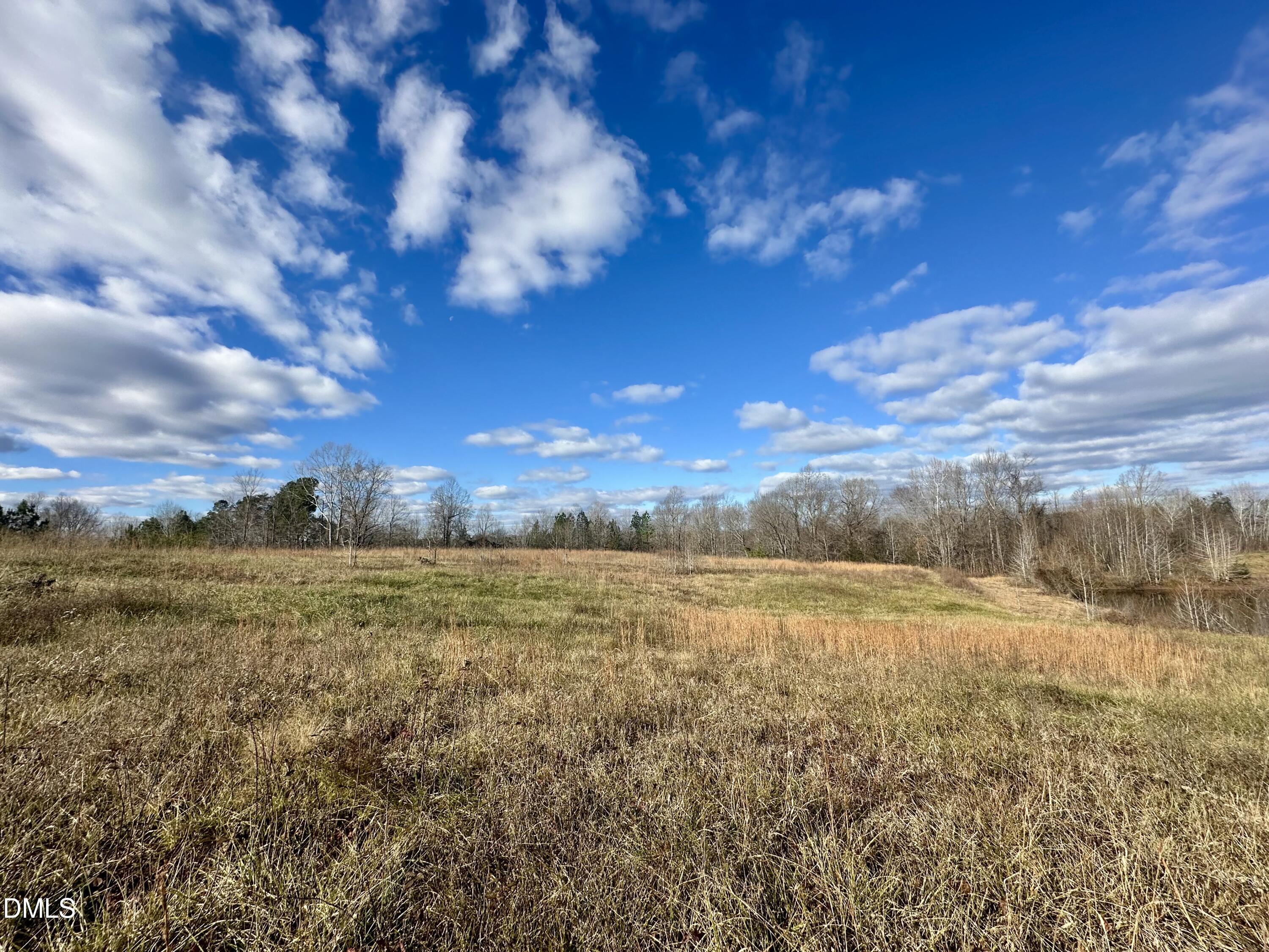 0 Brooks Road Prospect Hill, NC 27314 - Photo 3 of 6 a view of an outdoor space and mountain view