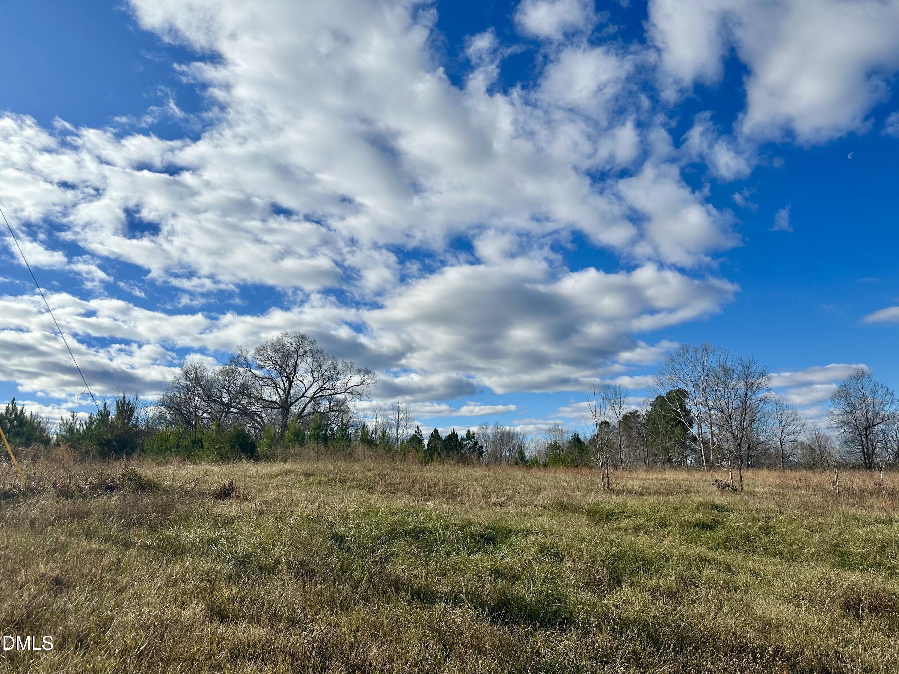 0 Brooks Road Prospect Hill, NC 27314 - Photo 4 of 6 a view of a big yard