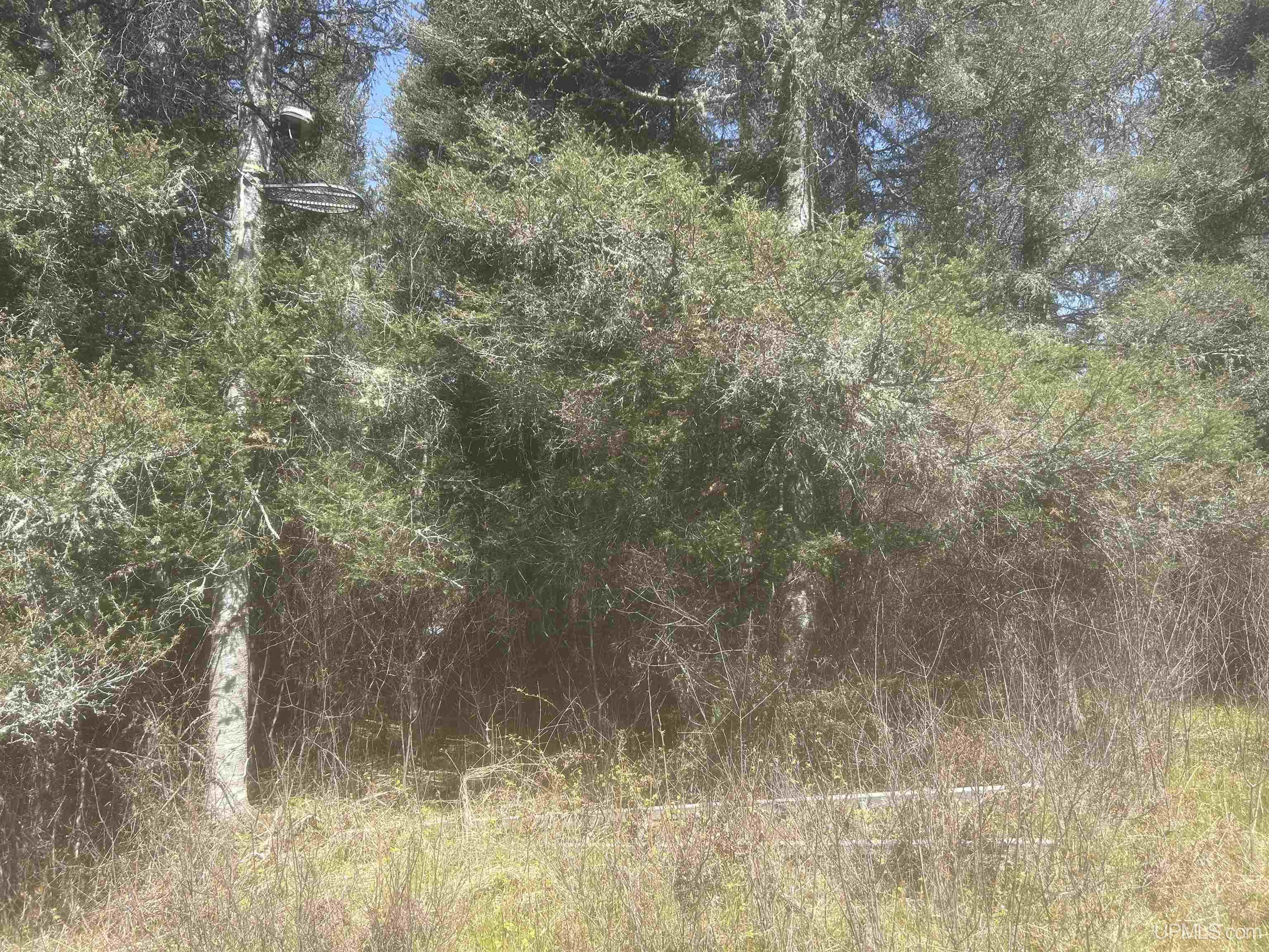 Tbd Goodhall Road Gaastra, MI 49927 - Photo 5 of 17