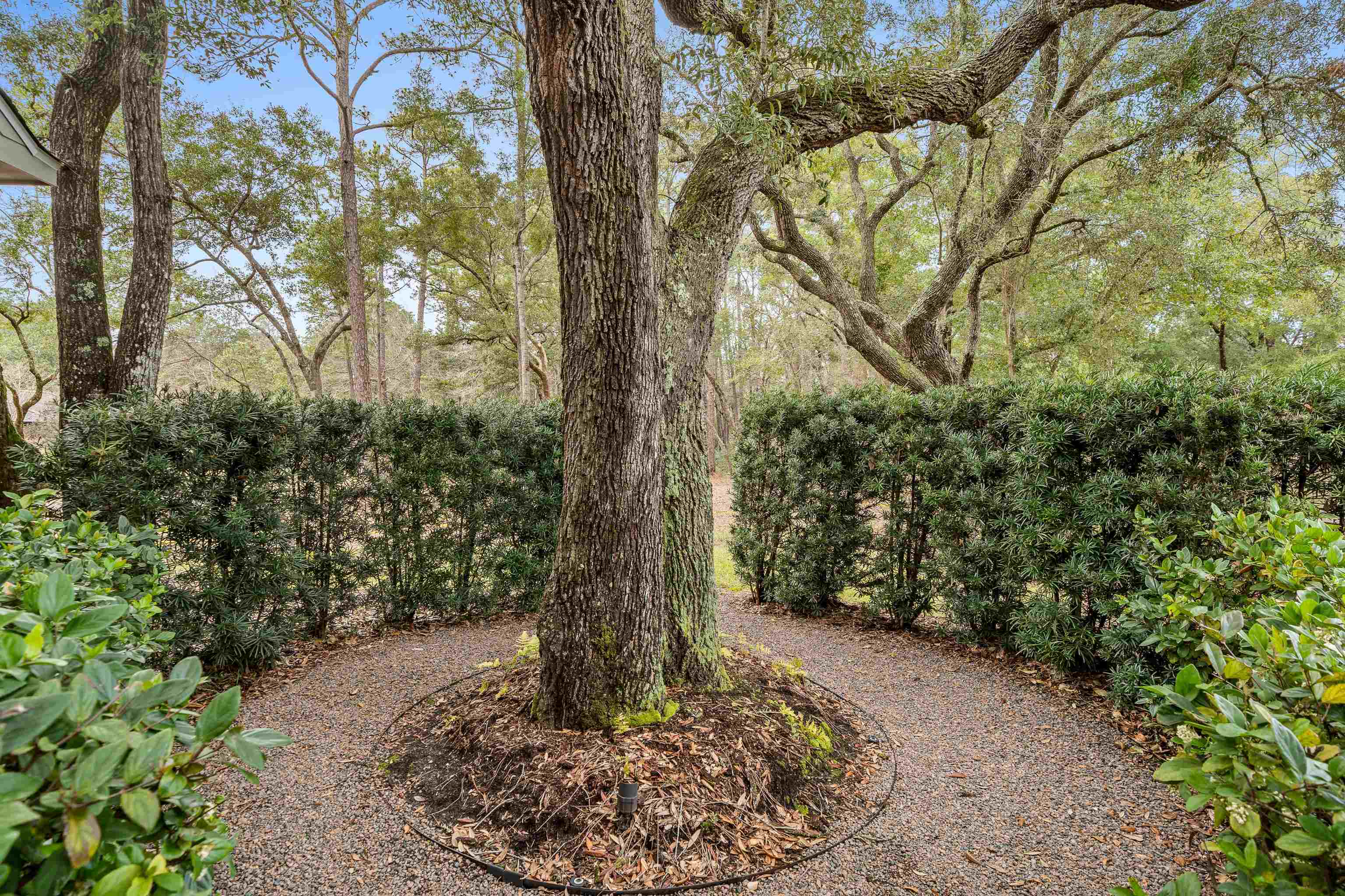 18450 Point Clear Court Fairhope, AL 36532 - Photo 37 of 44 Yard