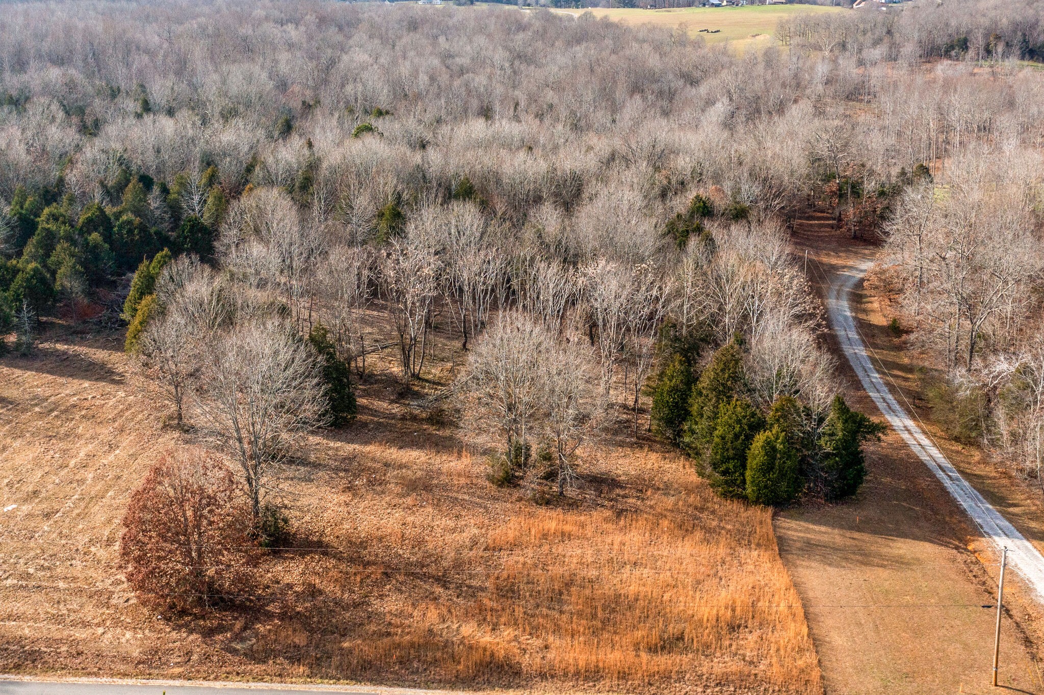 0 Hall Cemetery Road Burns, TN 37029 - Photo 4 of 23 Gallery Image 4