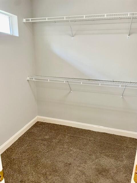 1279 Deep Water Drive Mount Pleasant, SC 29464 - Photo 15 of 26 IMG_7033