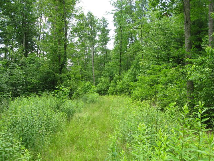 100 Sweeneysburg Road Beckley, WV 25801 - Photo 13 of 17 Perfect for riding or hiking