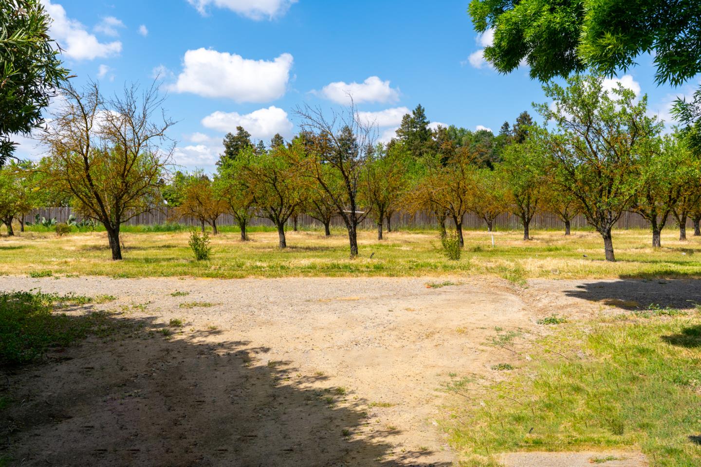 2965 Dunn Road Merced, CA 95340 - Photo 19 of 68 a view of a yard with swimming pool