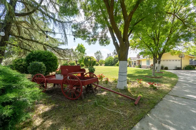 a swimming pool with some trees in the background