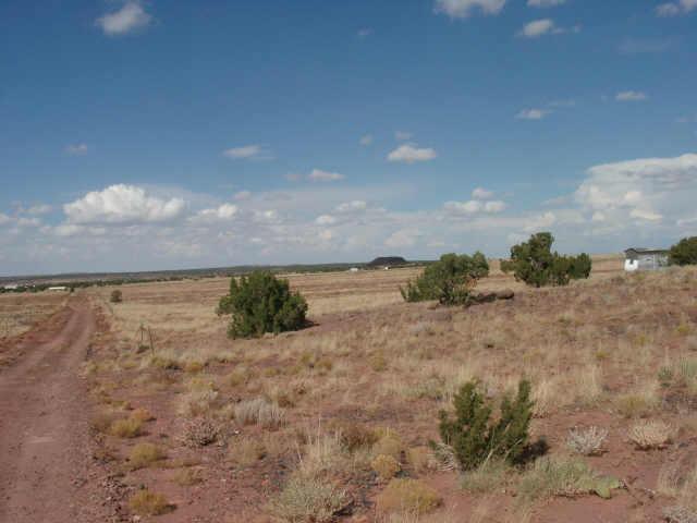 847 North N Ranch, Unit 847 Lakeside, AZ 85929 - Photo 1 of 3 a view of a dry yard with wooden fence