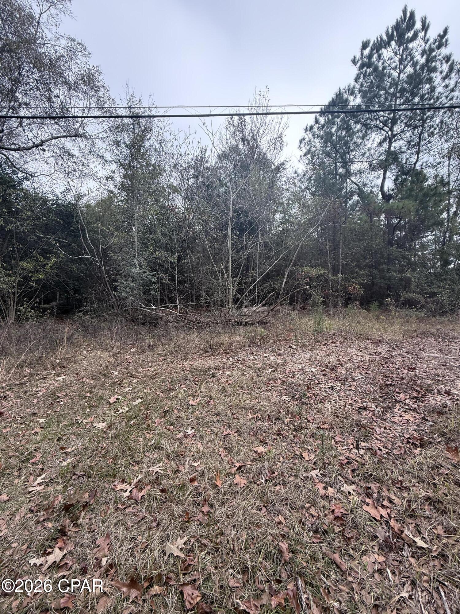 0 Dairy Road Sneads, FL 32460 - Photo 1 of 3