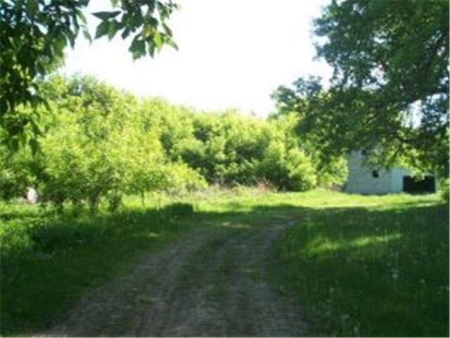 17269 Reed Creek Road Elizabeth, MN 56533 - Photo 3 of 18