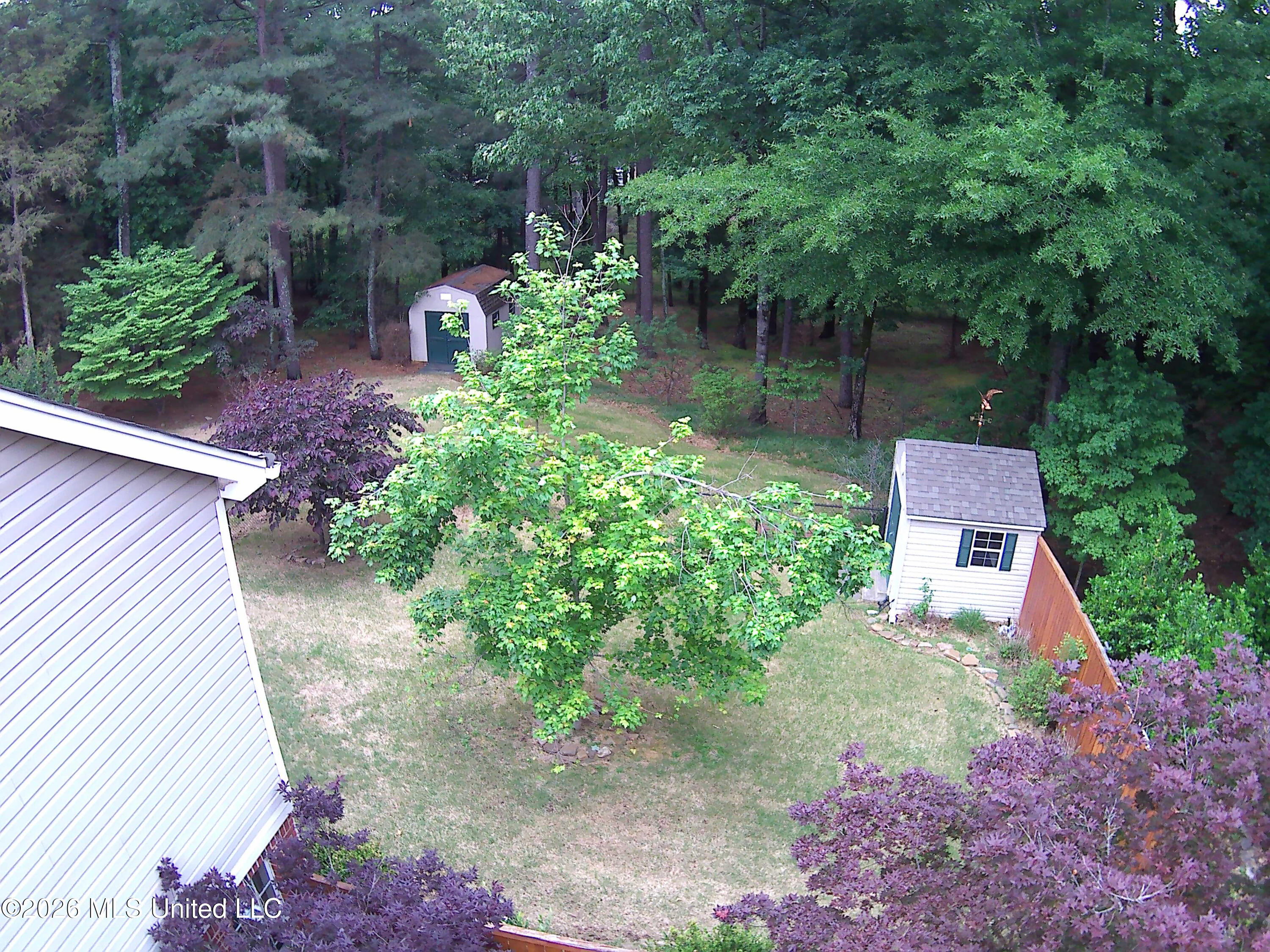 7684 Rigmoore Point North Olive Branch, MS 38654 - Photo 11 of 57 Back Yard