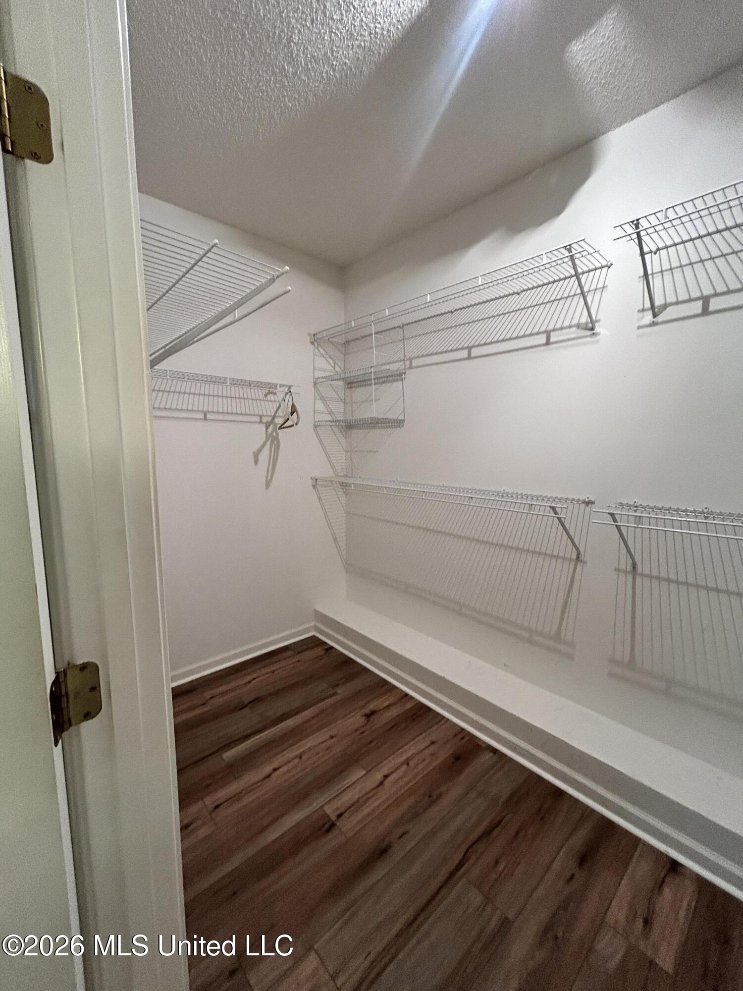 7684 Rigmoore Point North Olive Branch, MS 38654 - Photo 42 of 57 Primary Closet