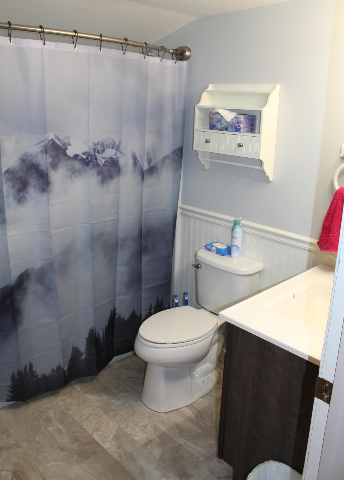 9401 Peck Road Greenville, MI 48838 - Photo 12 of 26 Full bath
