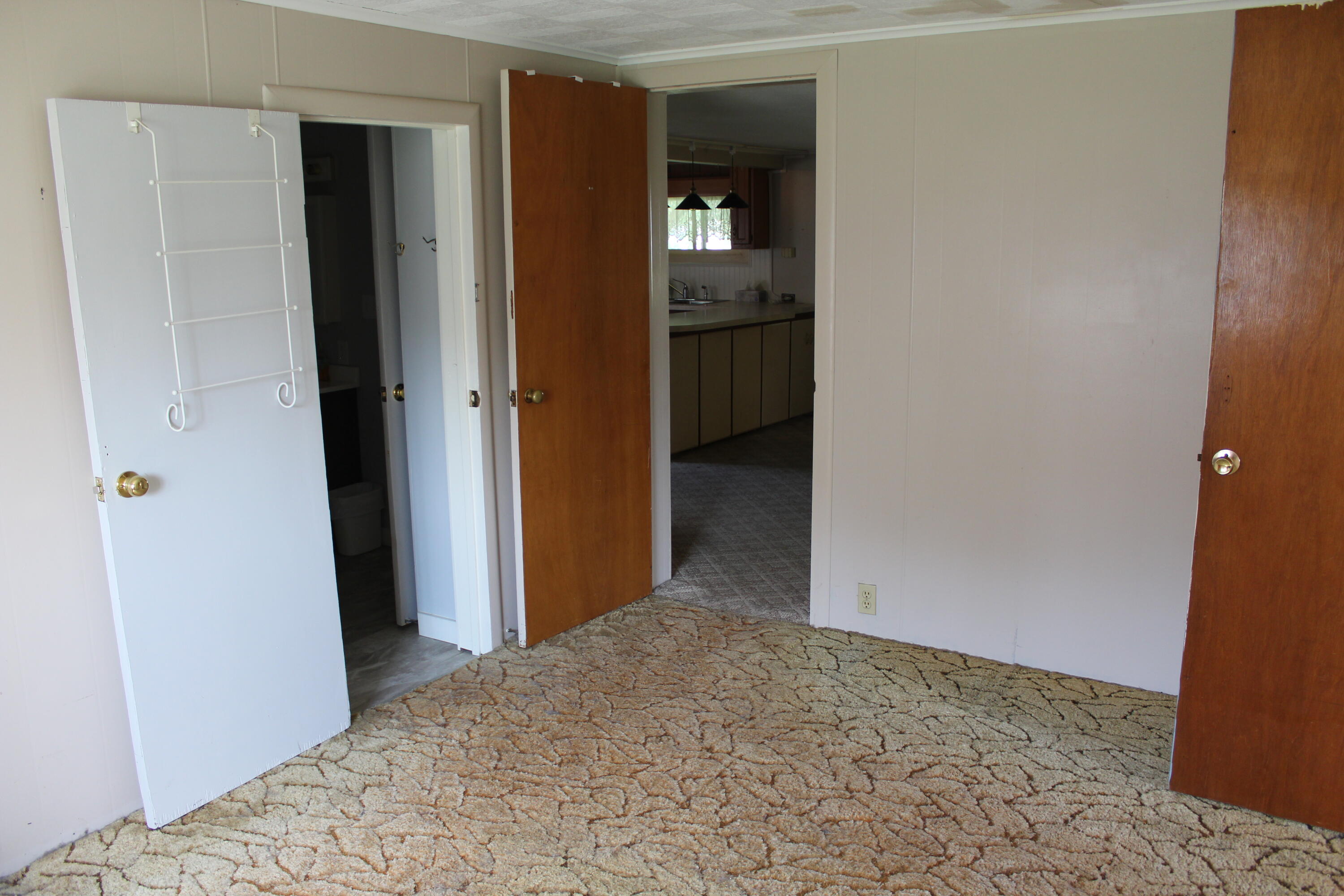 9401 Peck Road Greenville, MI 48838 - Photo 18 of 26 IMG_4565