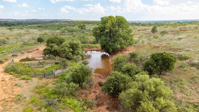a view of a bunch of trees and cars