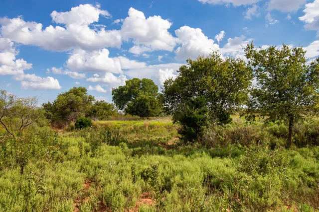 a view of an outdoor space with a lake view