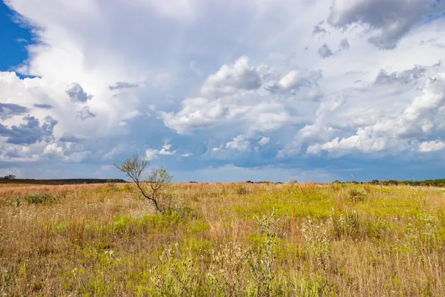 a view of a lake with a city
