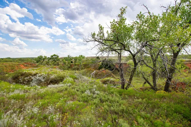 a view of a lake view