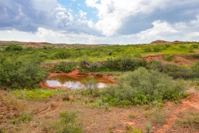 a view of city and ocean