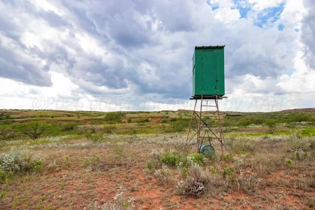 a view of an ocean beach