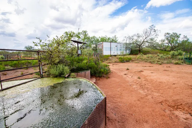 a view of a yard with wooden fence