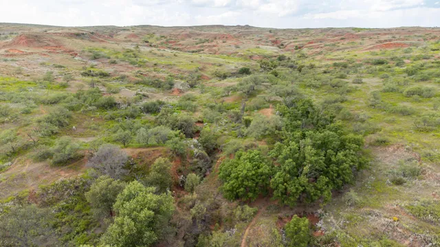 a view of beach and ocean