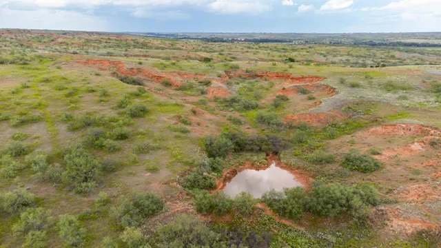 a view of a field with an trees