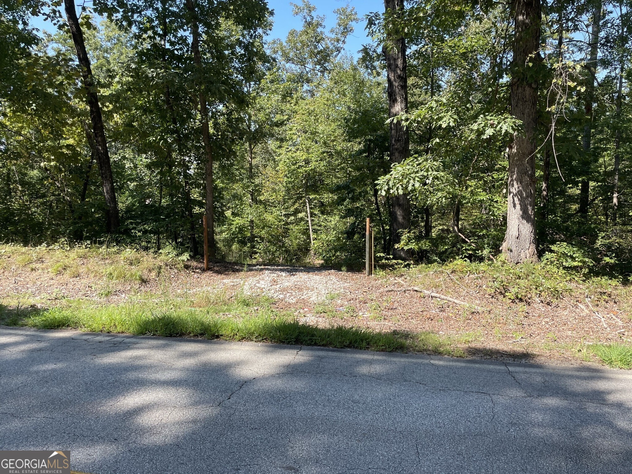 0 Holly Springs Road Toccoa, GA 30577 - Photo 1 of 1 a view of a yard with a tree